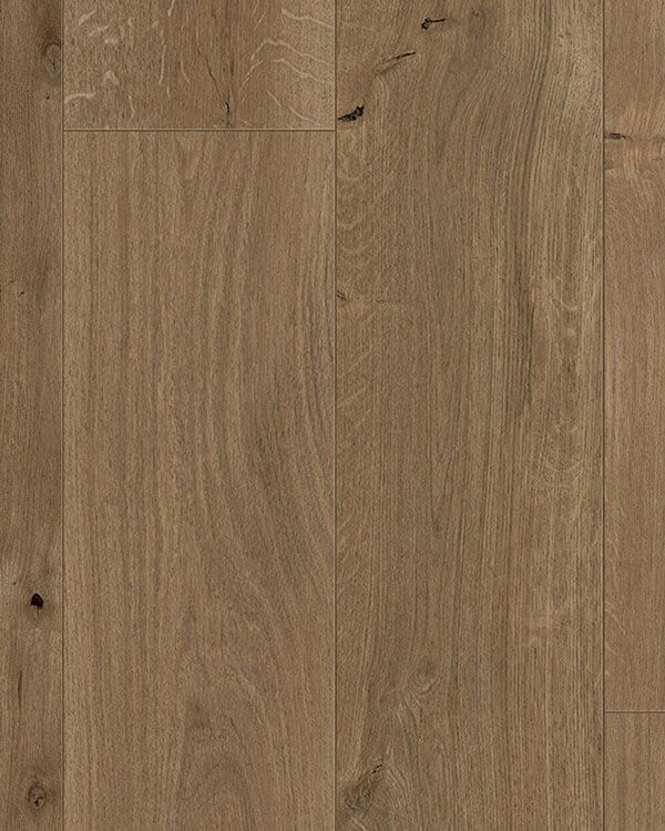 Seashell Oak