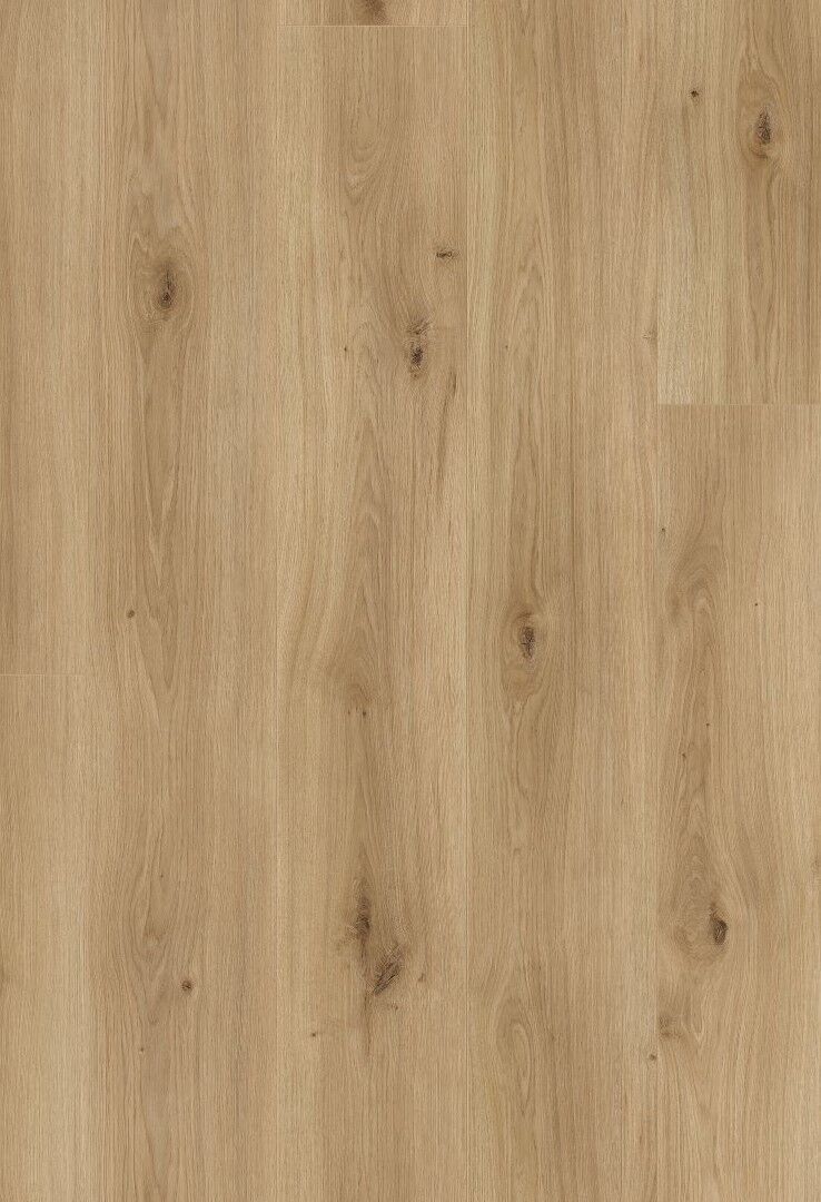 Apricot Oak