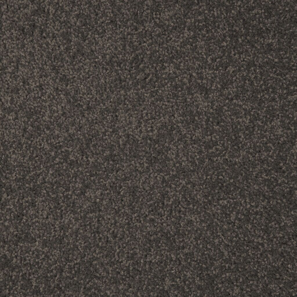 Buy Shannon Carpets in Auckland