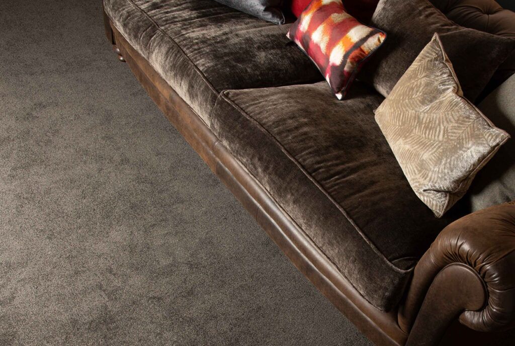 Elegant Carpet for Homes