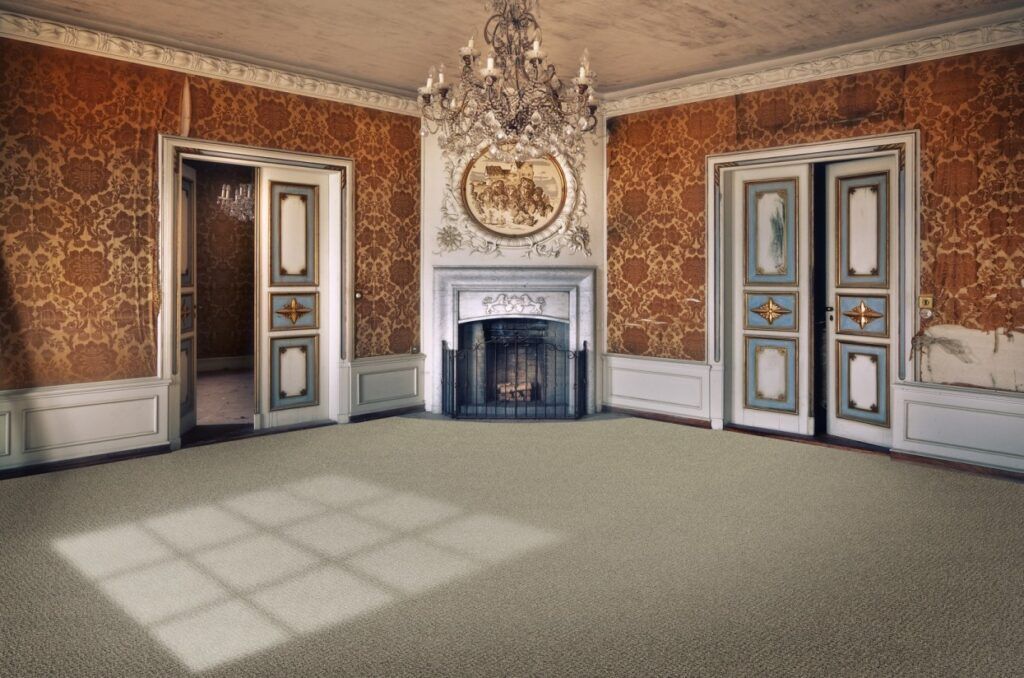 Cutting Edge Innovation Style Carpet