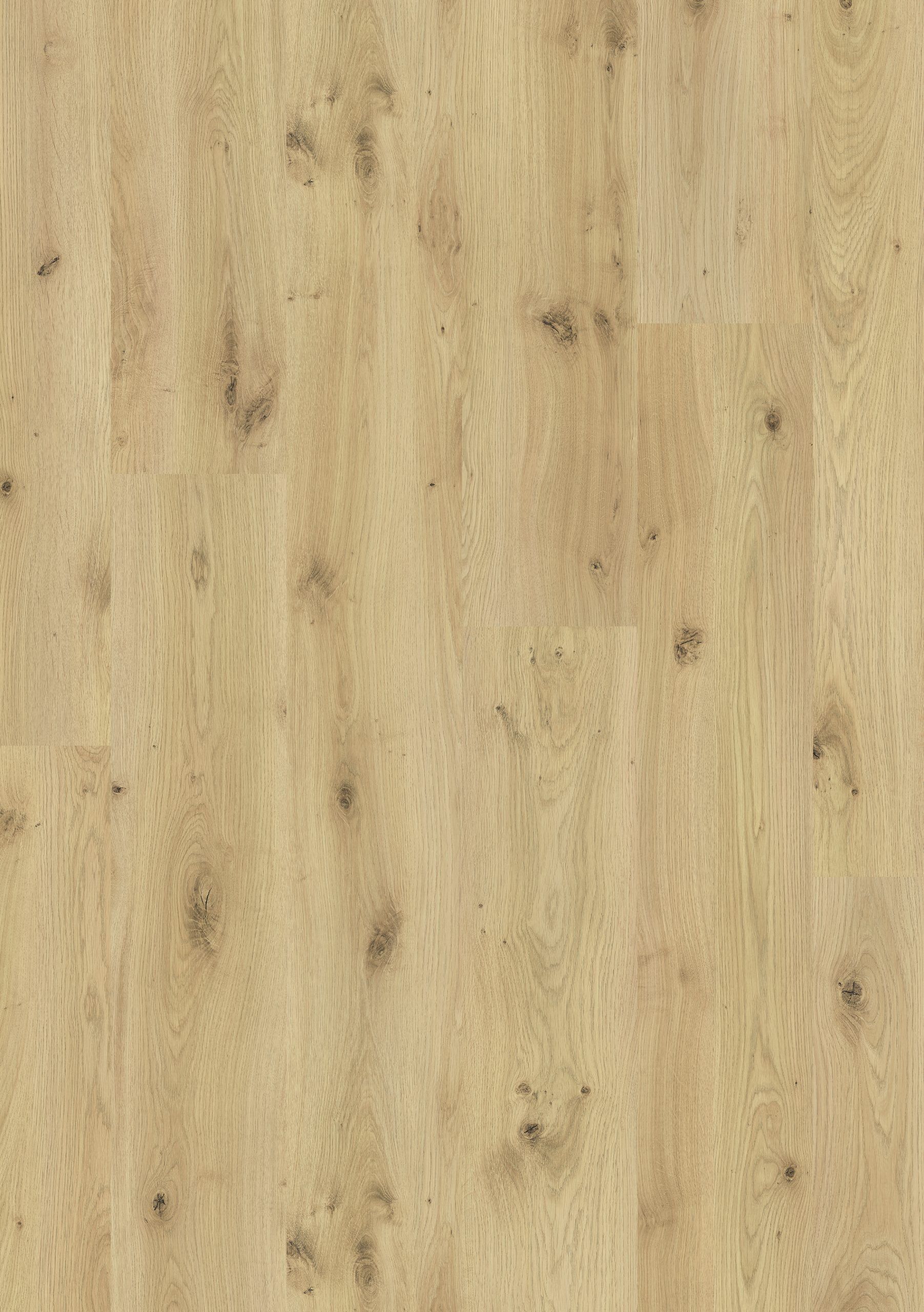 Camel Oak Natural