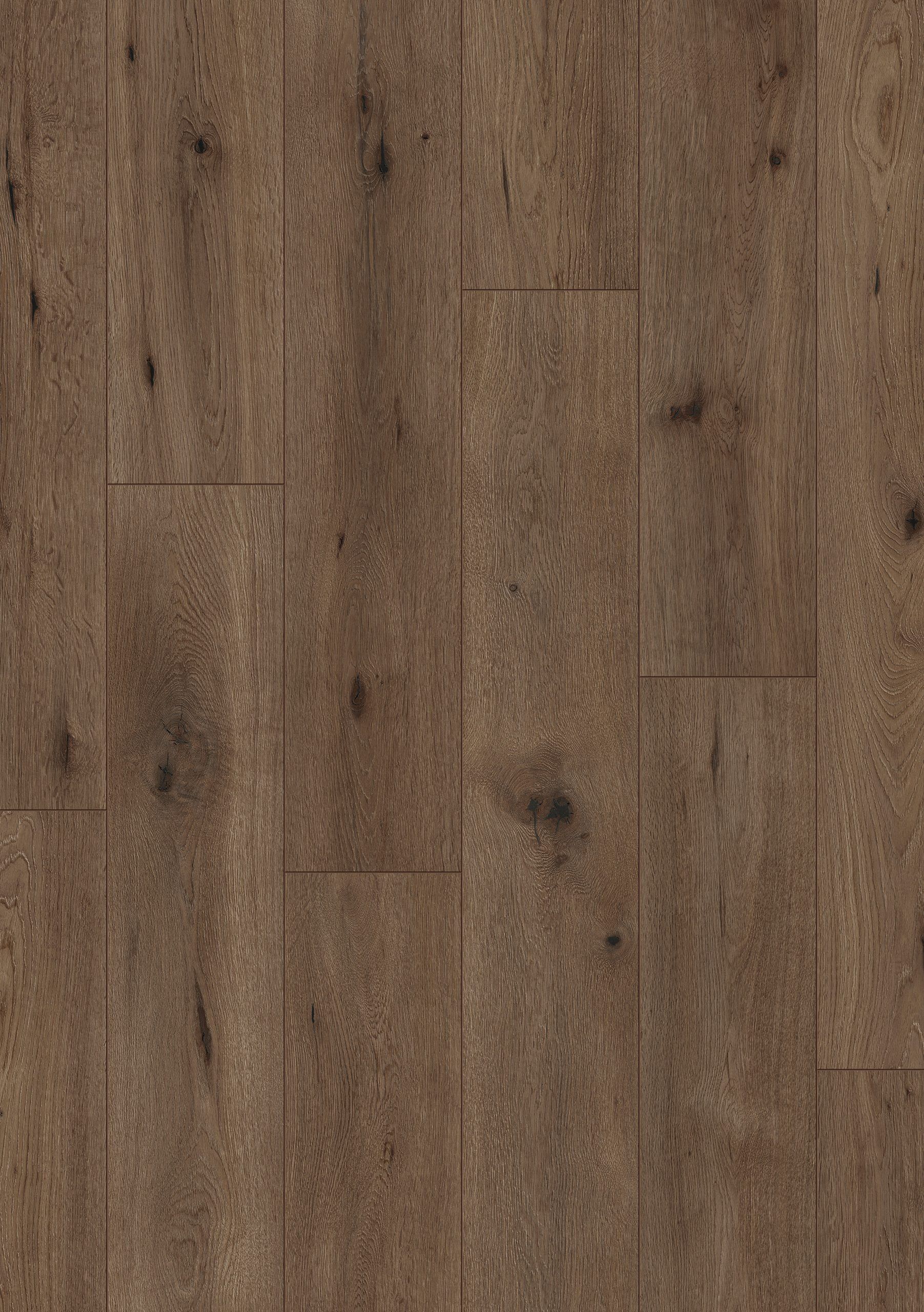 Medieval Brown Oak