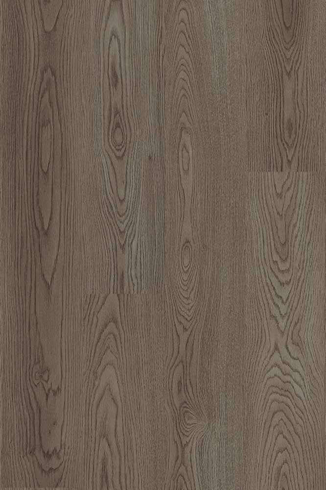 Dark Oak