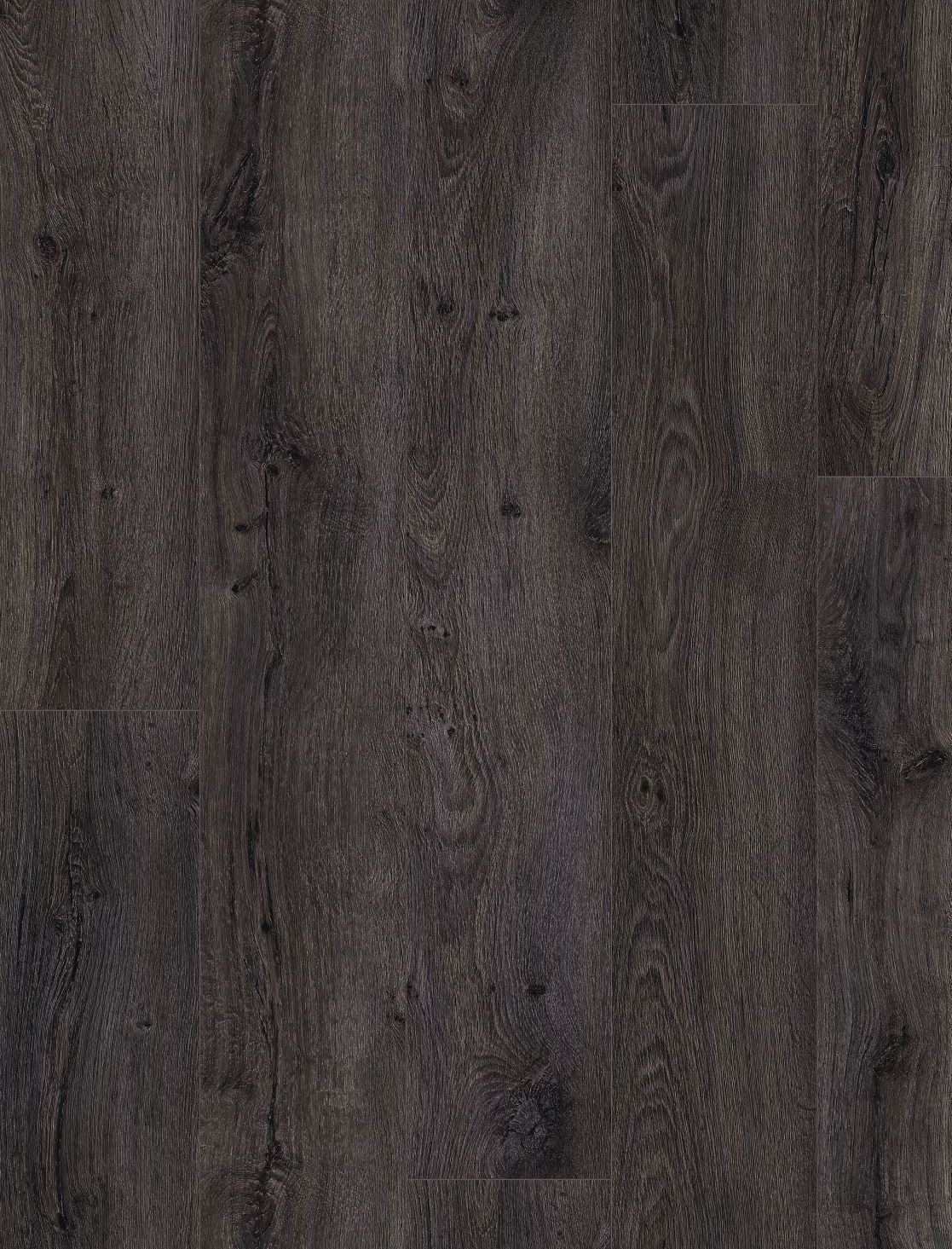 Raven Oak