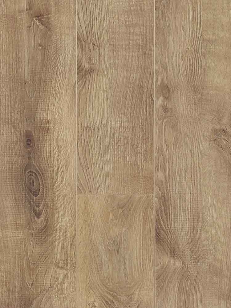 SUNSET OAK