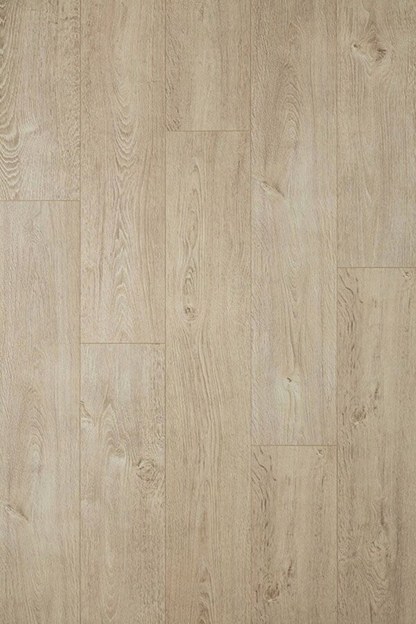 Sun Bleached Oak