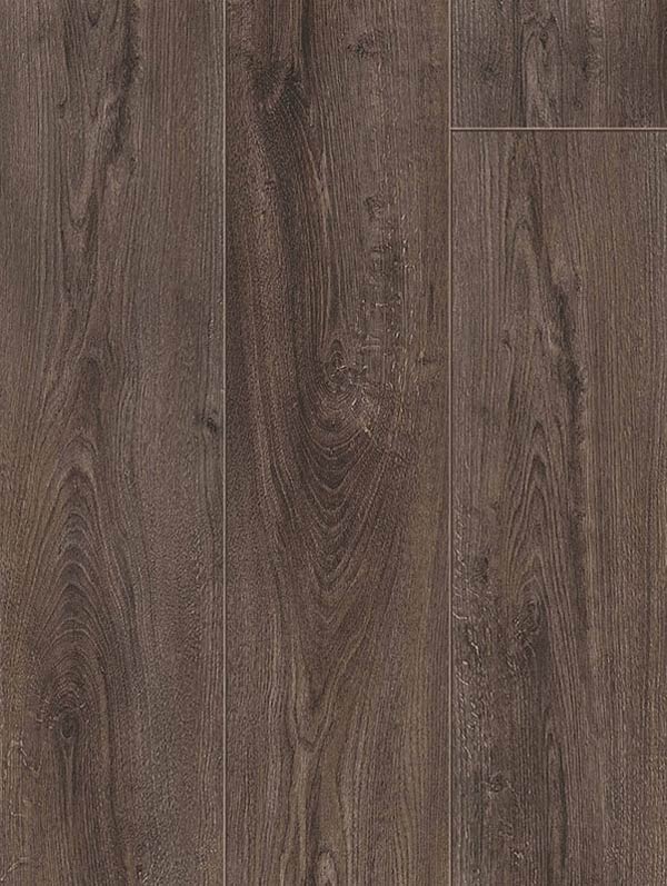 Tar Black Oak