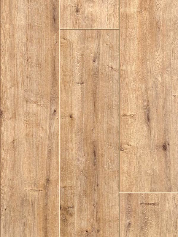 Taylor Oak