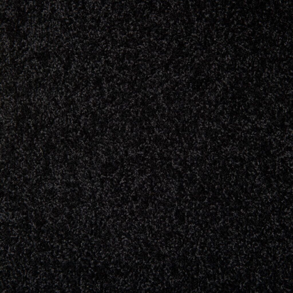 Buy Shannon Carpets in Auckland