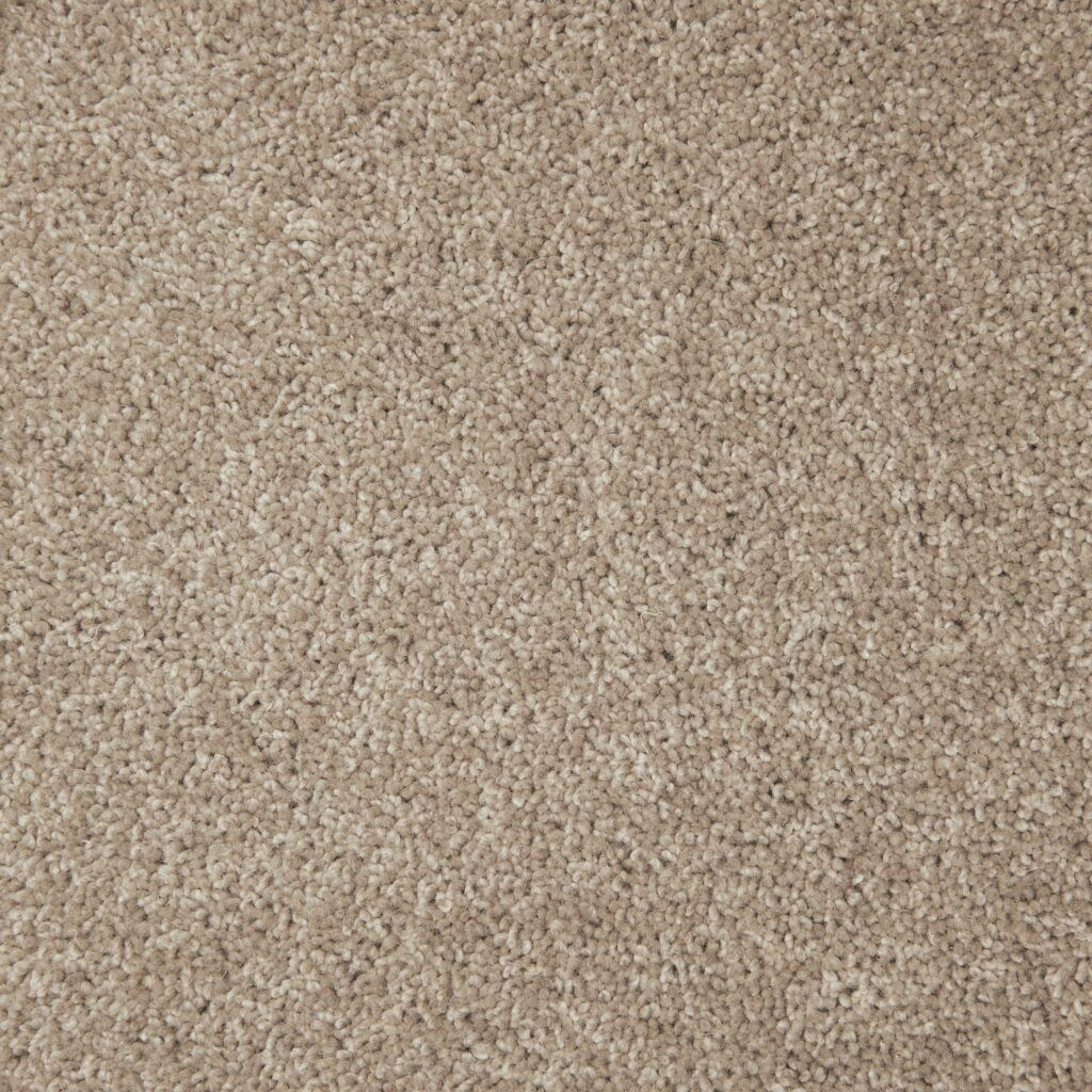 Buy Takitimu Crosshills Carpets in Auckland
