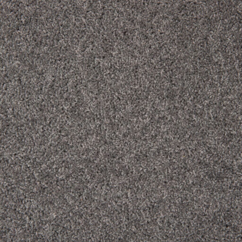 Buy Takitimu Ridgeway Carpets in Auckland