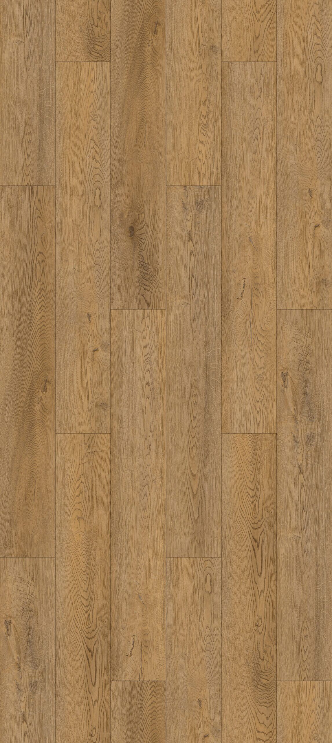 Morning Glory Flooring East Tamaki, Auckland NZ Morning Glory Flooring