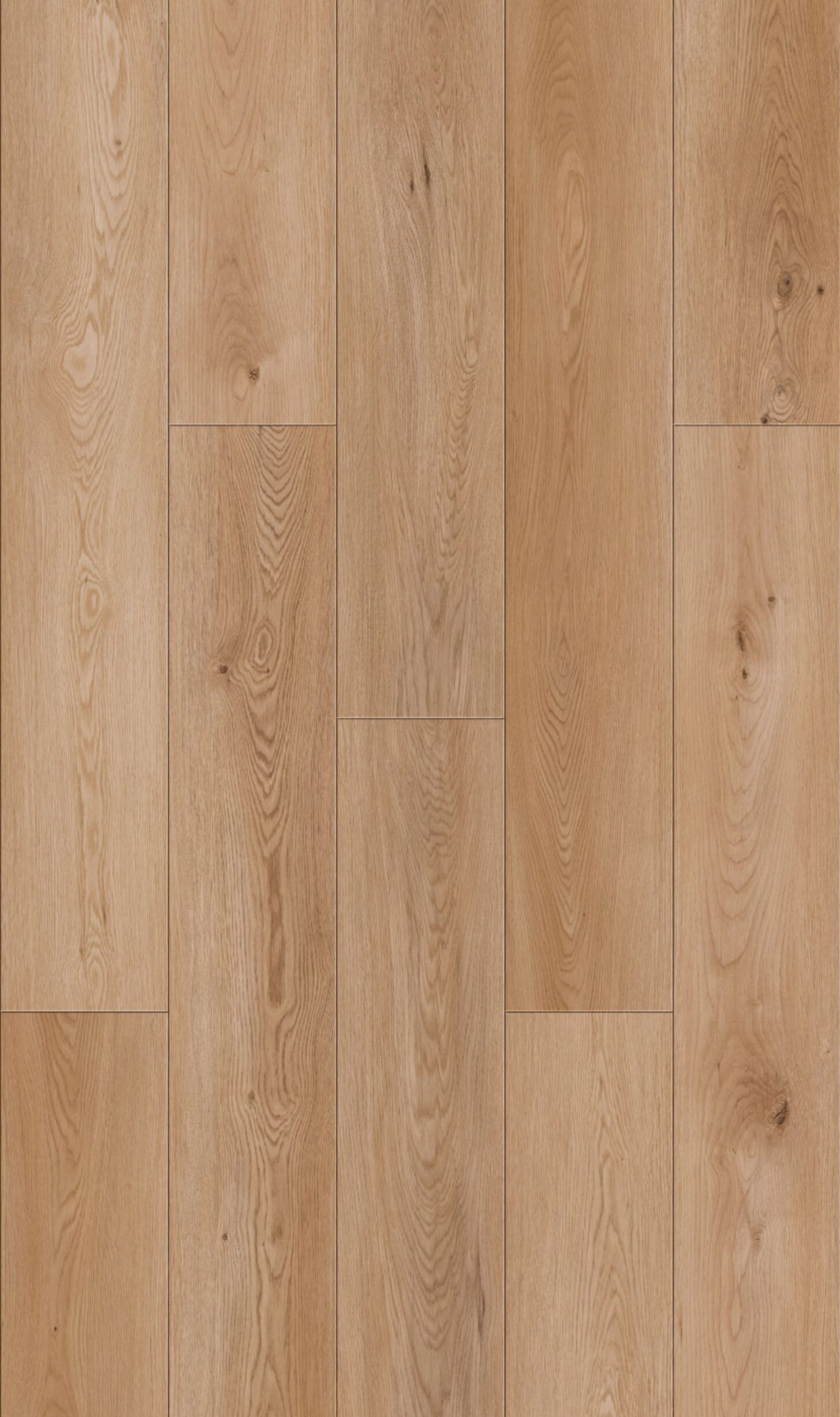 Honey Maple Oak