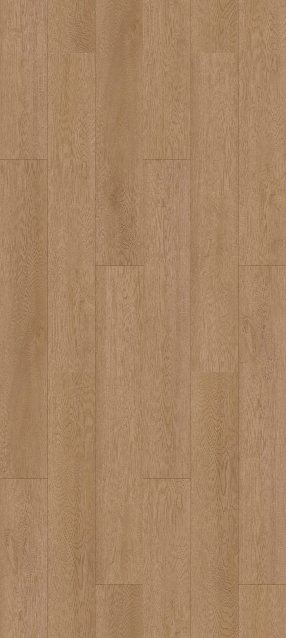 Morning Glory Flooring East Tamaki, Auckland NZ Morning Glory Flooring