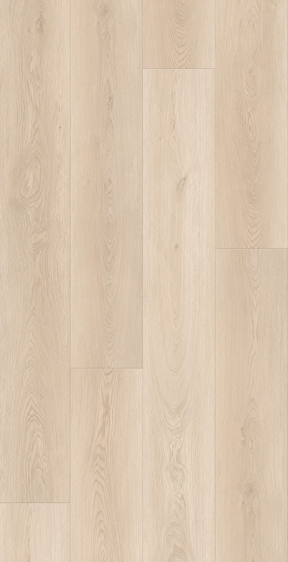 Morning Glory Flooring East Tamaki, Auckland NZ Morning Glory Flooring