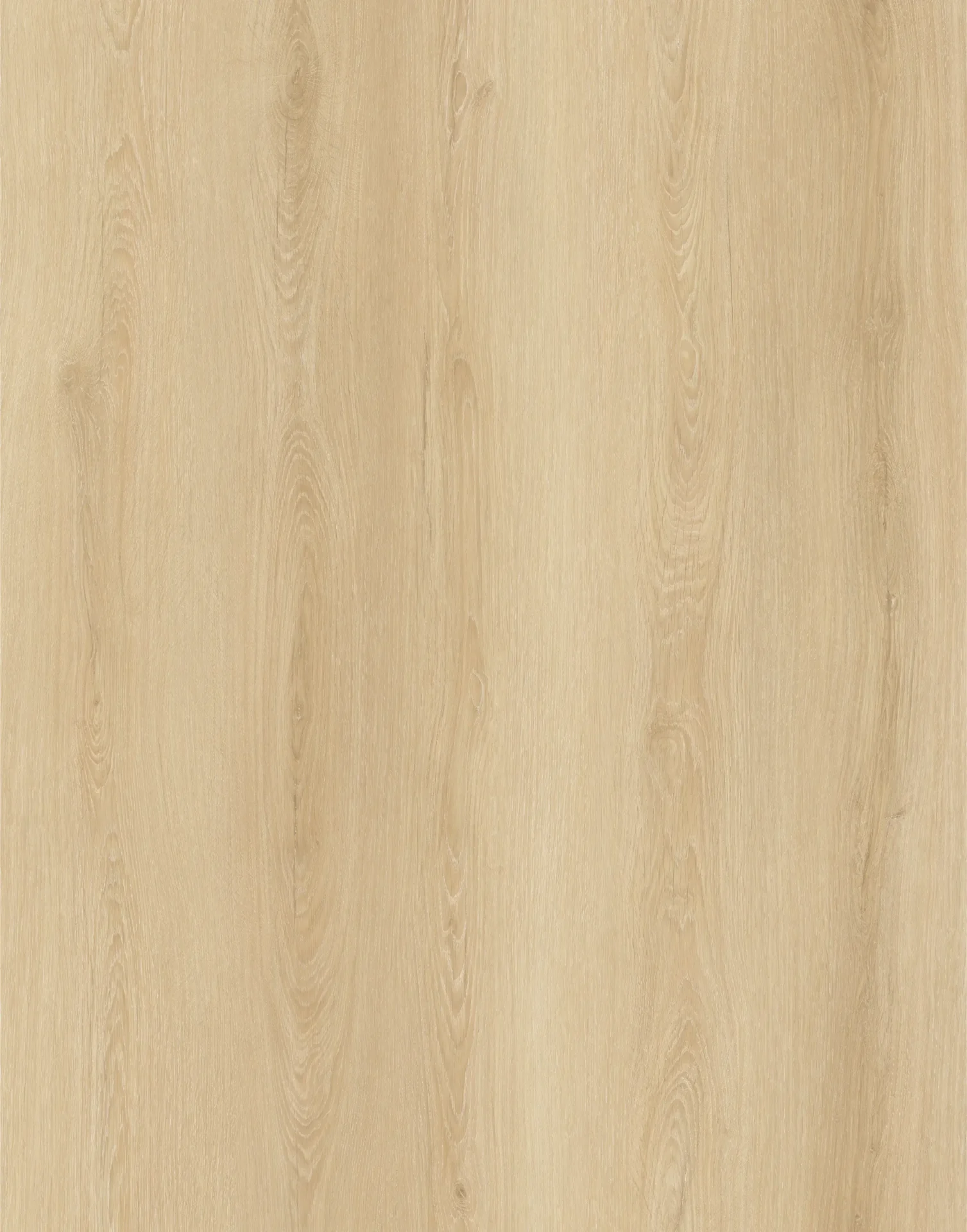 Morning Glory Flooring East Tamaki, Auckland NZ Morning Glory Flooring
