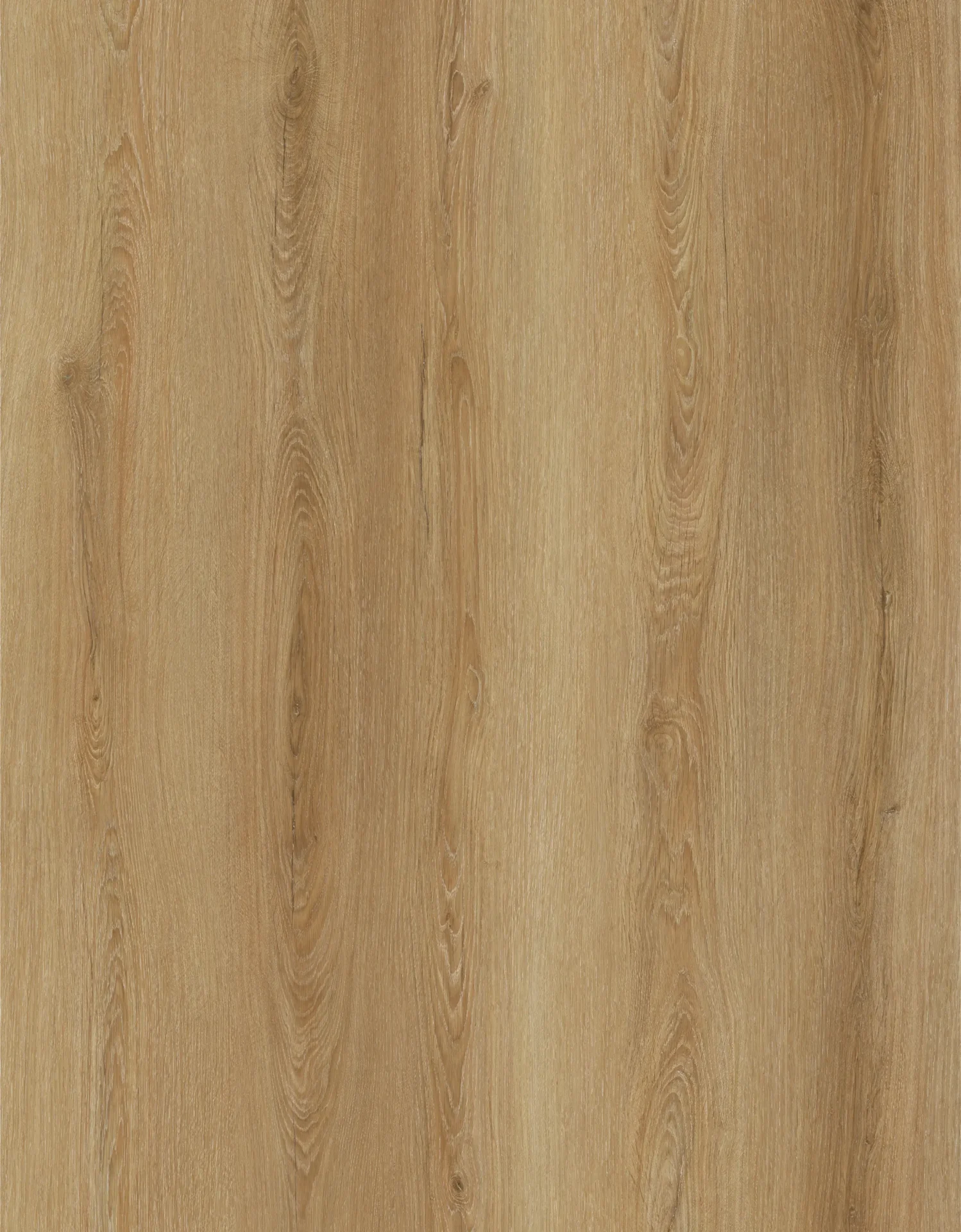 Morning Glory Flooring East Tamaki, Auckland NZ Morning Glory Flooring