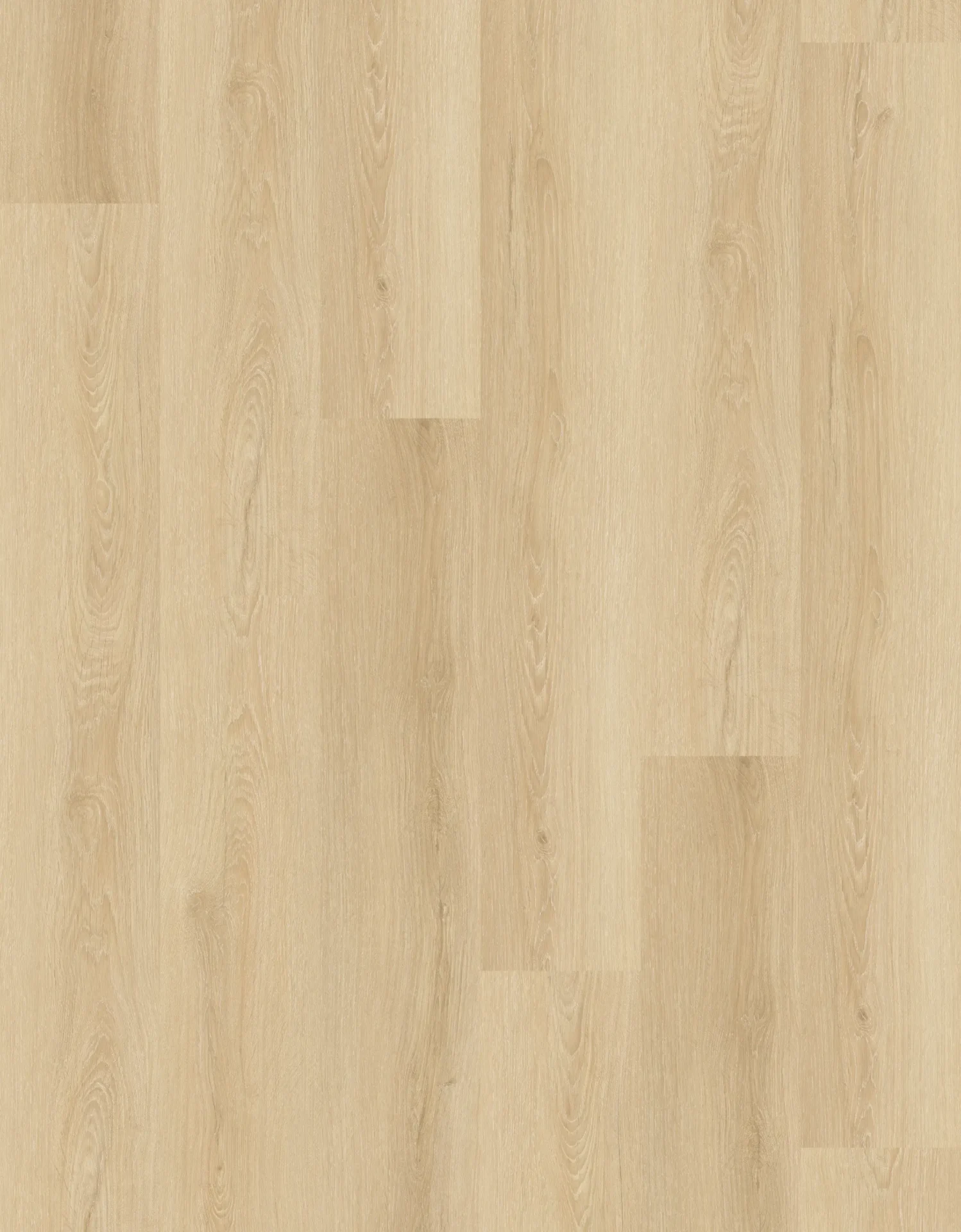 Morning Glory Flooring East Tamaki, Auckland NZ Morning Glory Flooring