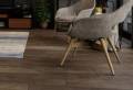 Colour Oak 7 Thumbnail 1
